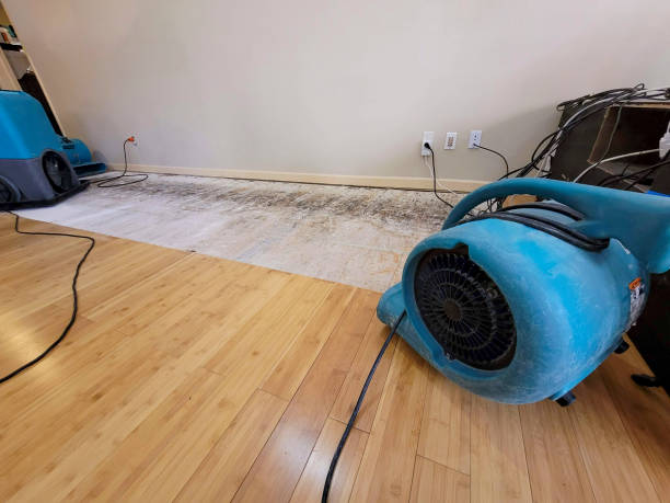 Professional Structural Drying technician working in Hampton, GA